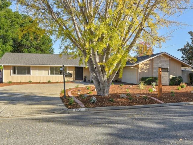 A large tree in front of a house.