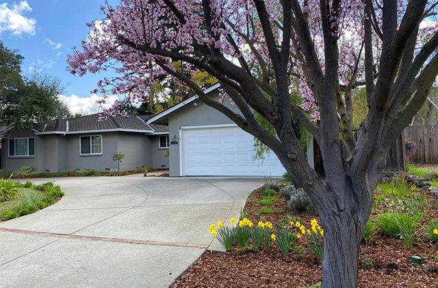 A house with a tree in front of it