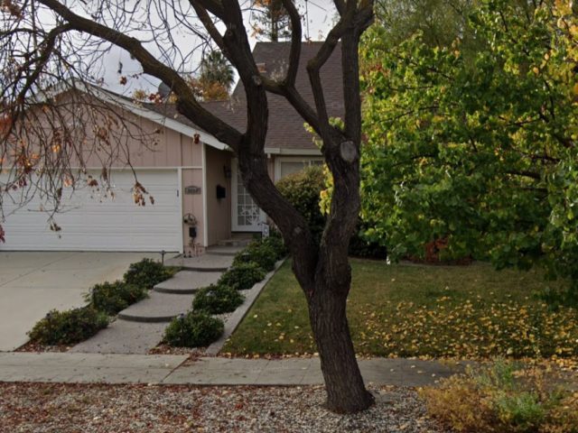 A tree in front of a house with a driveway.