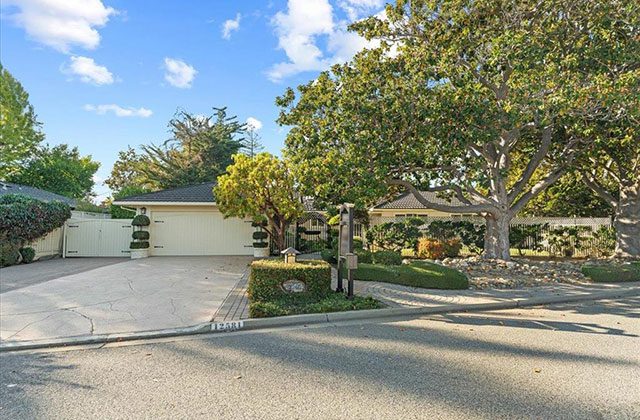 A driveway with trees and bushes in the background.