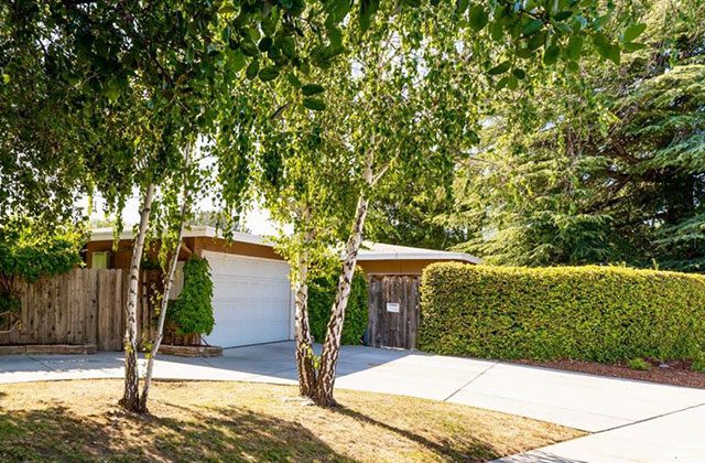 A driveway with trees and bushes in the background.