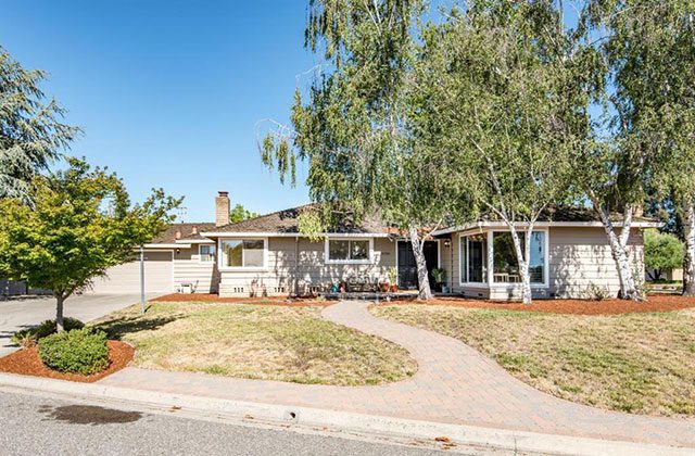 A house with a tree in the front yard