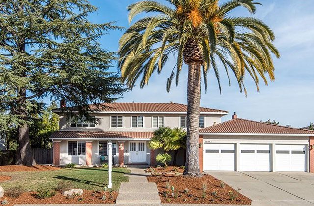 A large palm tree in front of a house.